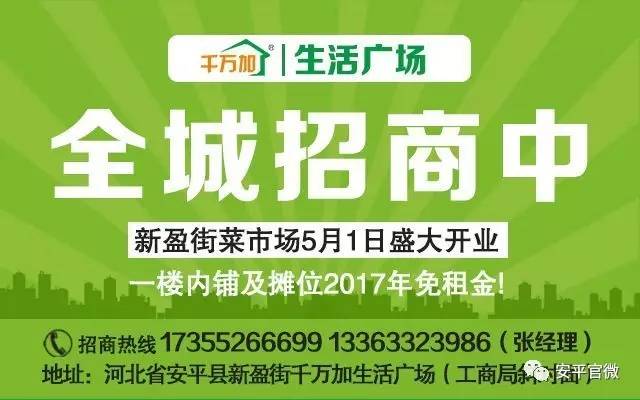 柳南区人力资源和社会保障局最新招聘信息概览