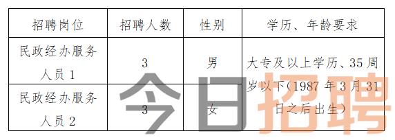 召陵区民政局招聘公告解析