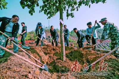 惠州市林场领导团队引领绿色变革新篇章