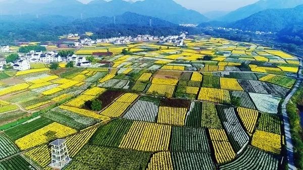 紫坪铺镇最新交通新闻，交通建设日新月异，助力地方经济腾飞