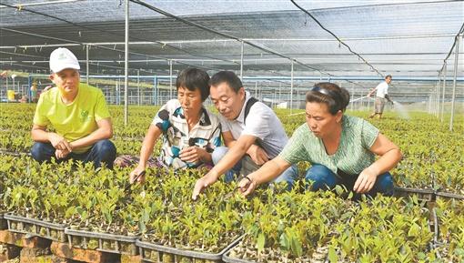 永新县市场监督管理局最新项目，推动市场监管现代化，助力地方经济高质量发展