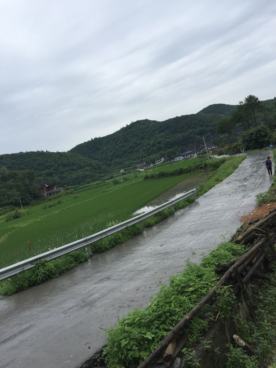 坪坦乡天气预报更新通知