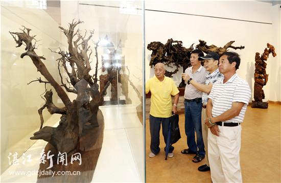 麻章区文化广电体育和旅游局新项目启动，开启地方文化与旅游发展新篇章